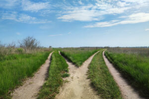 reconversion vers les métiers de l'environnement