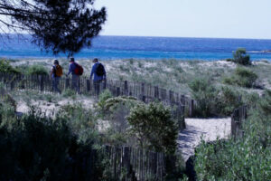 formation écotourisme cebopan