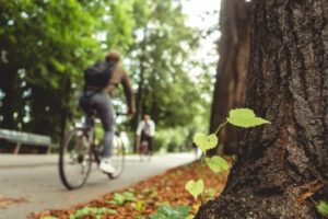 formation en écologie et gestion des villes