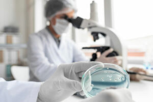 formation environnement santé et écologie