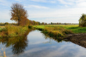 Cours d'eau traversant un paysage agricole illustrant le parcours GeB consacré à la gestion de la biodiversité dans les socio-écosystèmes.