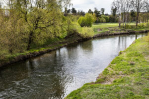 formation solutions fondées sur la nature
