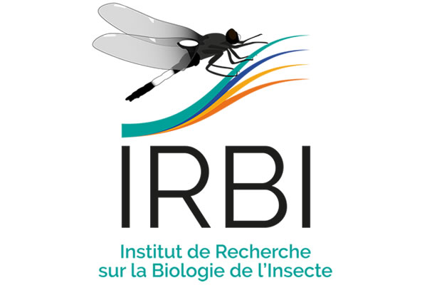 Stage Impact d’un stress thermique sur le comportement des reines fourmis H/F 1 IRBI, institut de recherche en biologie des insecte
