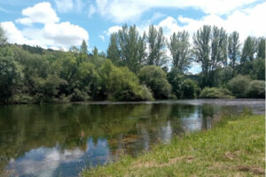 Cours d’eau et ripisylve illustrant la gestion des ressources en eau