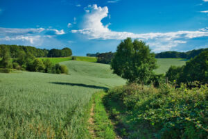 formation paysage agricole et territoire rural