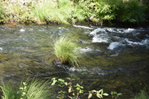 Cours d’eau et restauration écologique des milieux aquatiques