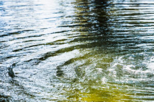 Surface d’un cours d’eau