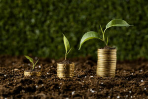Financement du développement durable : pièces de monnaie