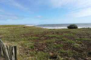 Paysage naturel du littoral à Brem-sur-Mer en Vendée