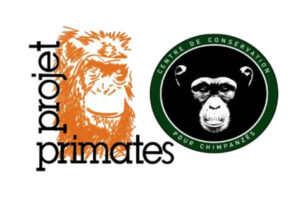 projet primates et chimpanzés