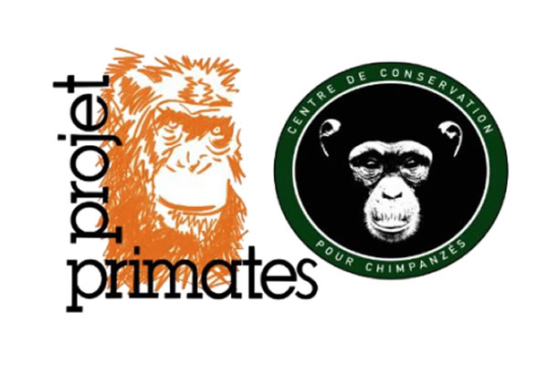 projet primates et chimpanzés